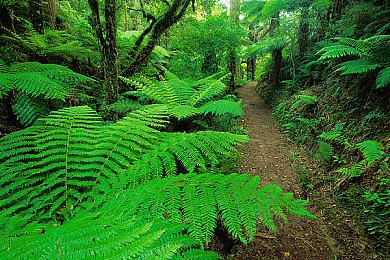 《忍者神龟：施莱德的复仇》9分钟演示 增加史普林老师可控